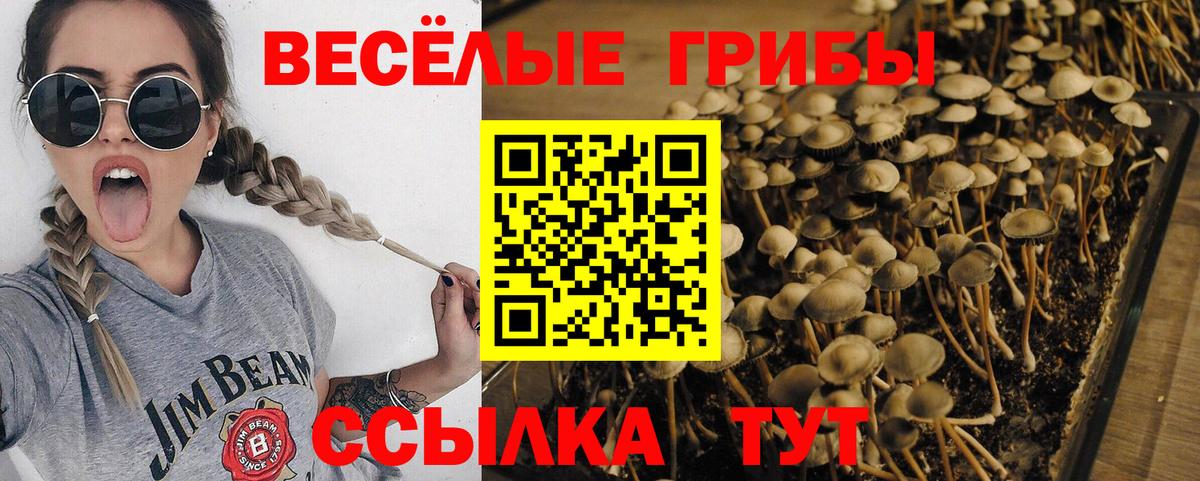 Галлюциногенные грибы ЛСД Донецк